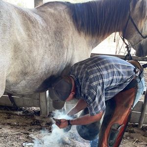 Meet your Posher, Nick